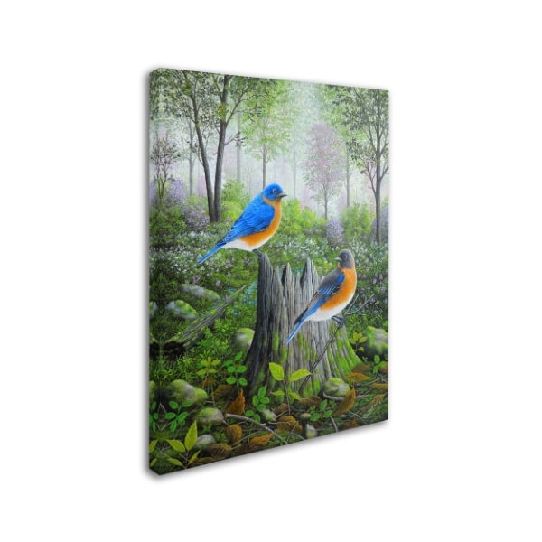 Robert Wavra 'Spring Bluebirds' Canvas Art,35x47